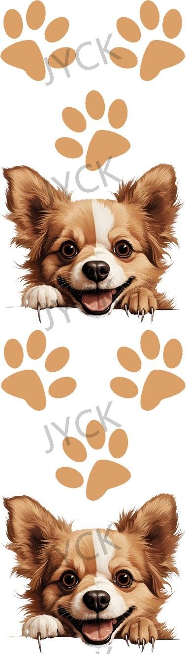 14277
